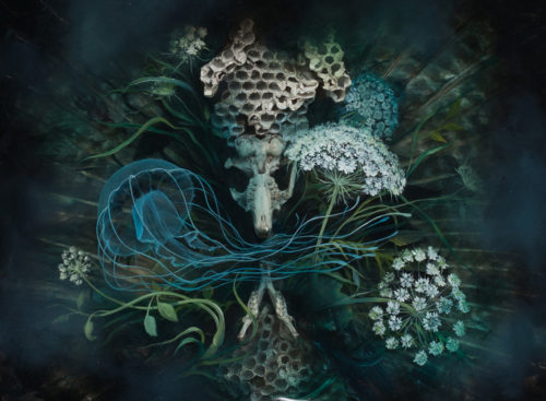 Regan Rosburg, "Vanitas III" (Detail). 2019. Resin, Paint, Natural Materials. Courtesy of Regan Rosburg